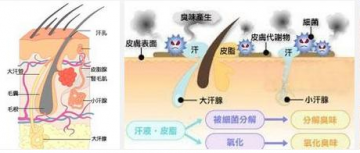 �����ݷ���Ƥ����ҽԺ"